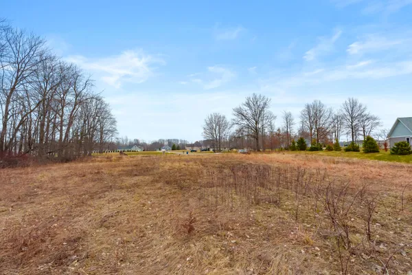 $595,000 | Vl-0 Baldwin Road, Bridgman, MI 49106