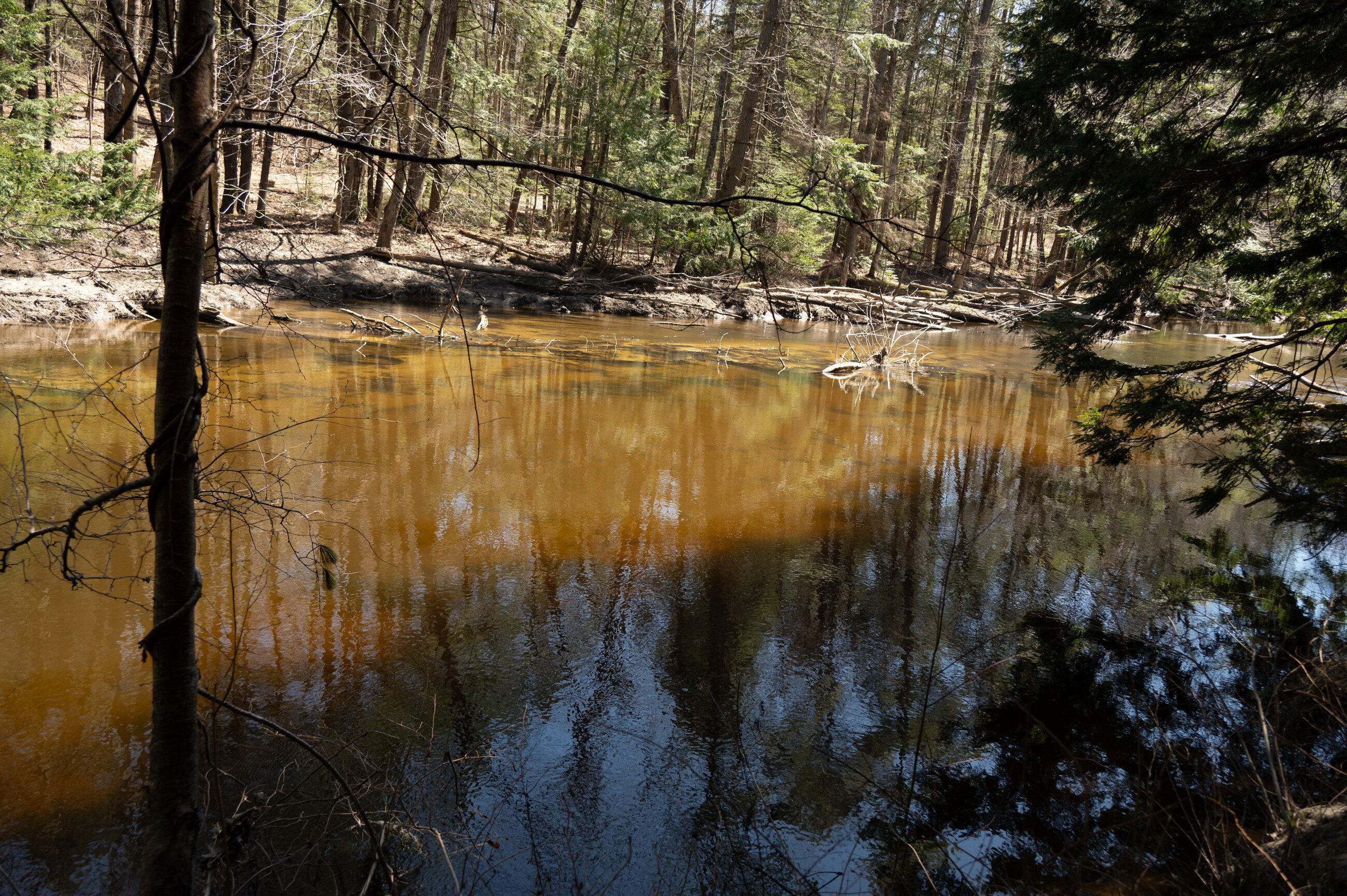 627 River Road Windham, ME 04062 - Photo 15 of 71 Outside-5594