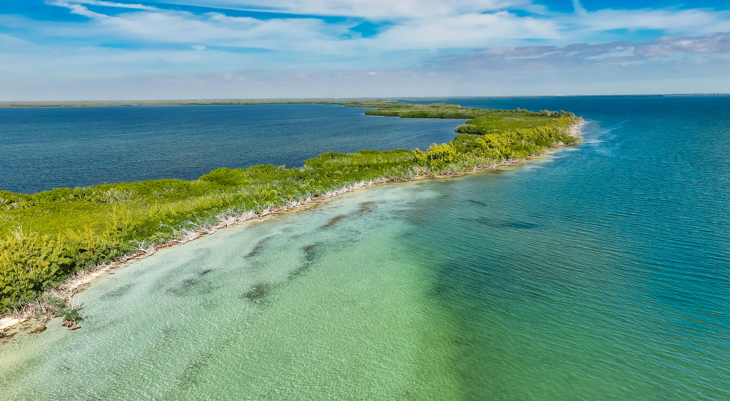 Main Key Key Largo, FL 33037 - Photo 12 of 64 Main Key 12-12-2025 (10)