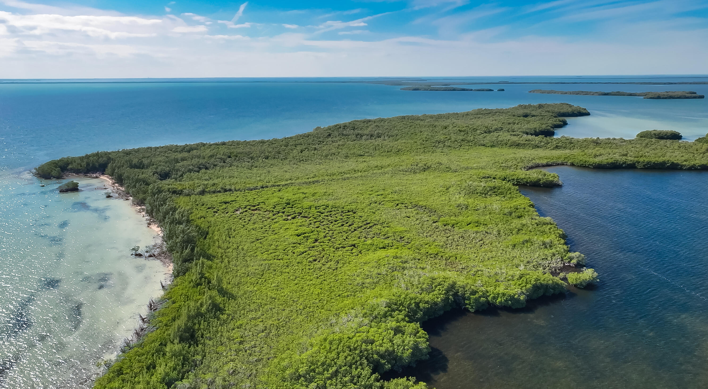 Main Key Key Largo, FL 33037 - Photo 14 of 64 Main Key 12-12-2025 (11)