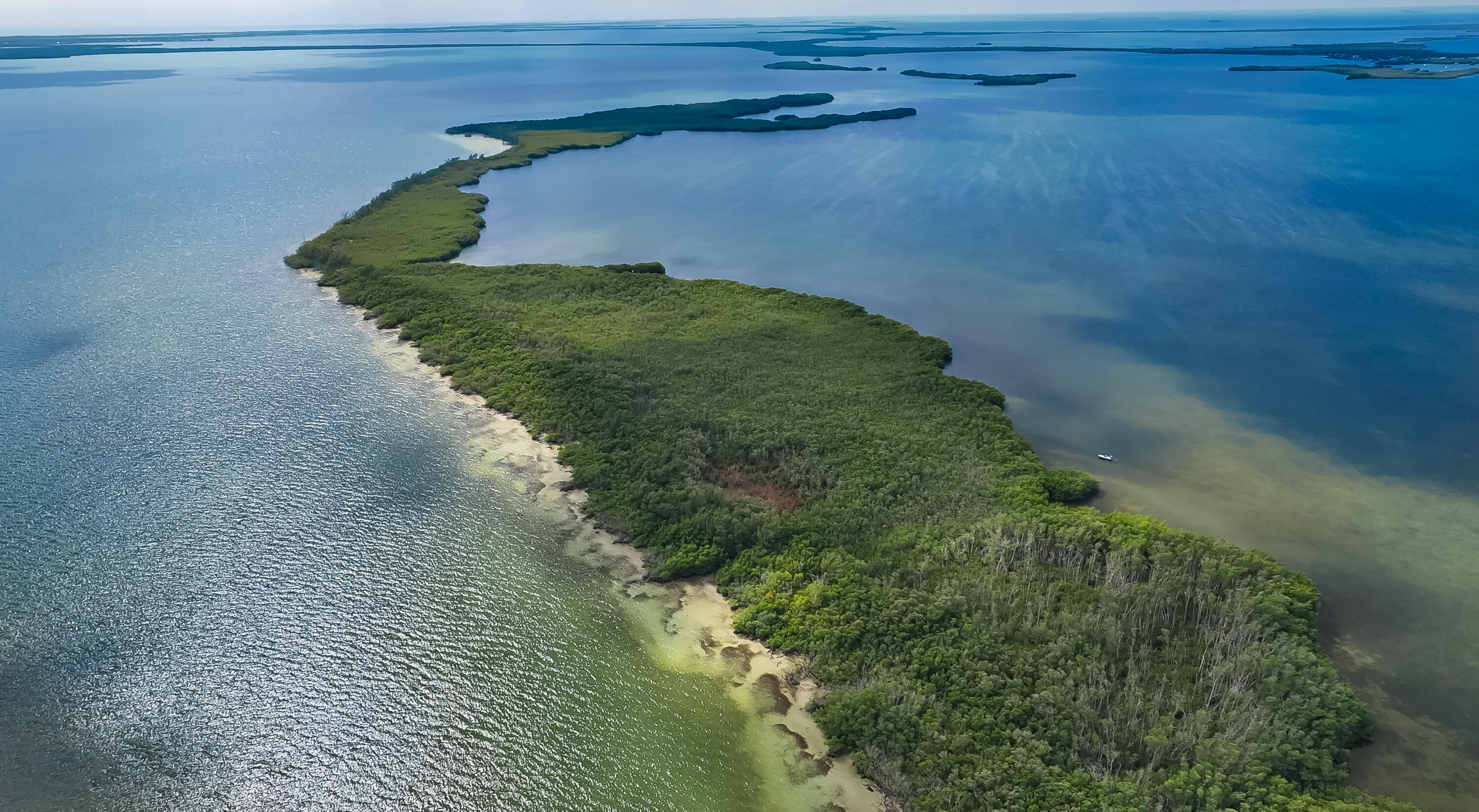 Main Key Key Largo, FL 33037 - Photo 15 of 64 Main Key 12-12-2025 (16)