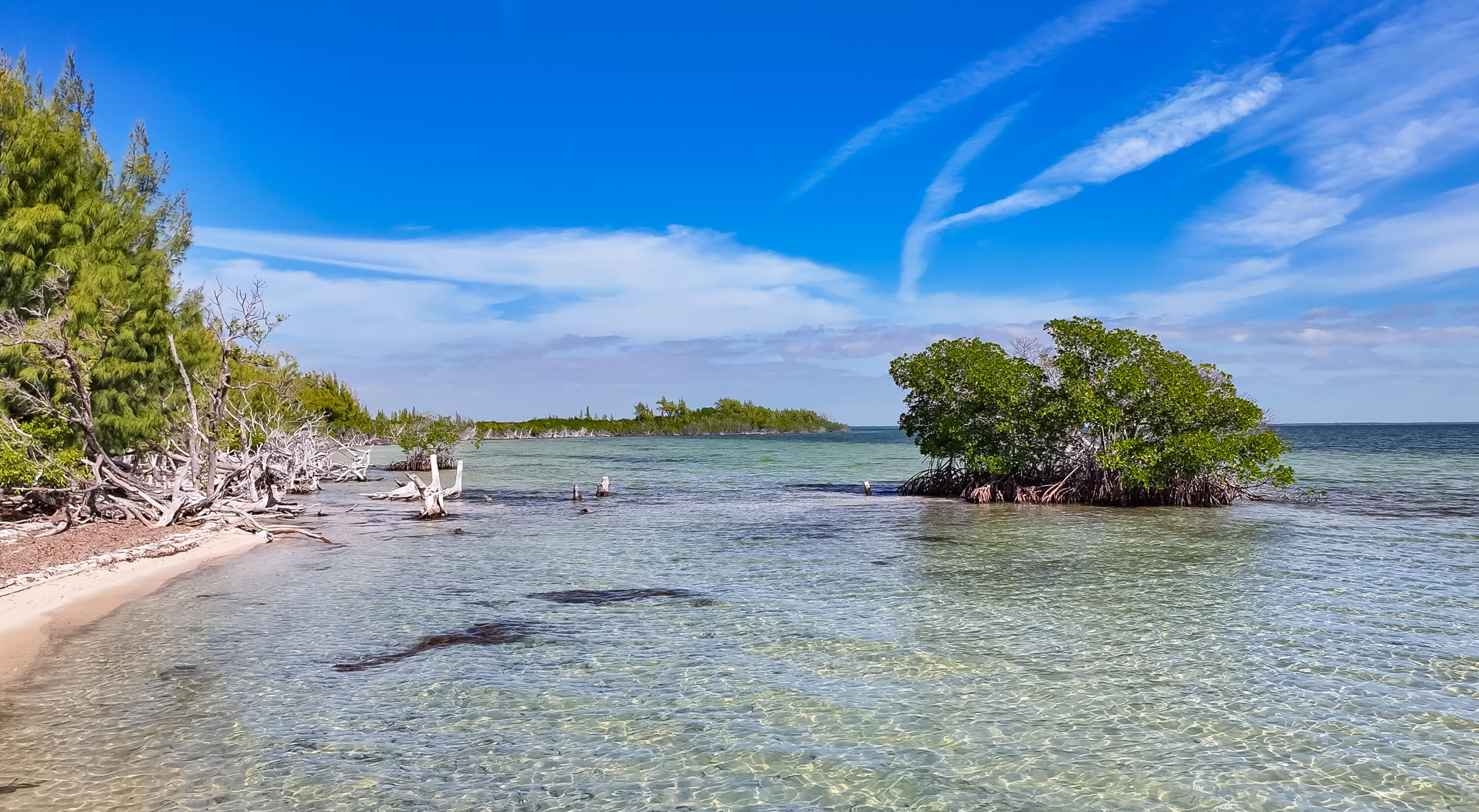Main Key Key Largo, FL 33037 - Photo 17 of 64 Main Key 12-12-2025 (13)