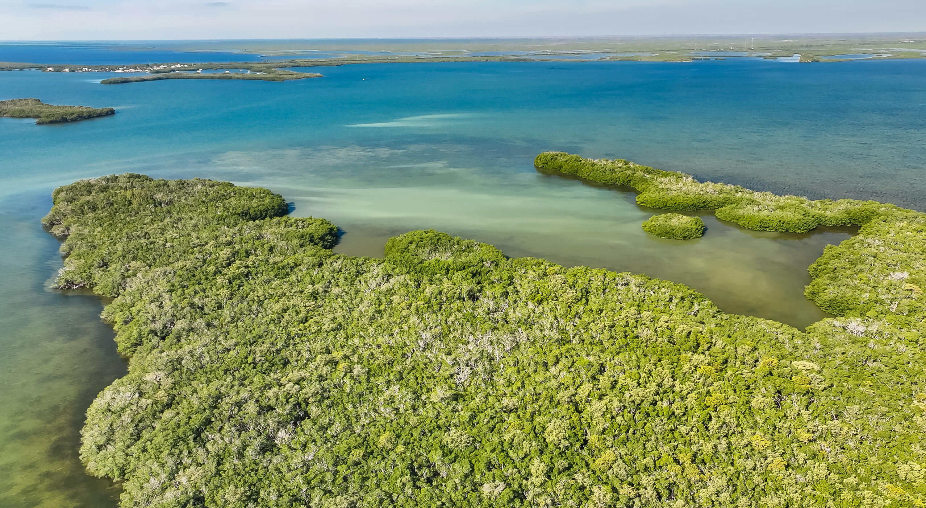 Main Key Key Largo, FL 33037 - Photo 22 of 64 Main Key 12-12-2025 (5)
