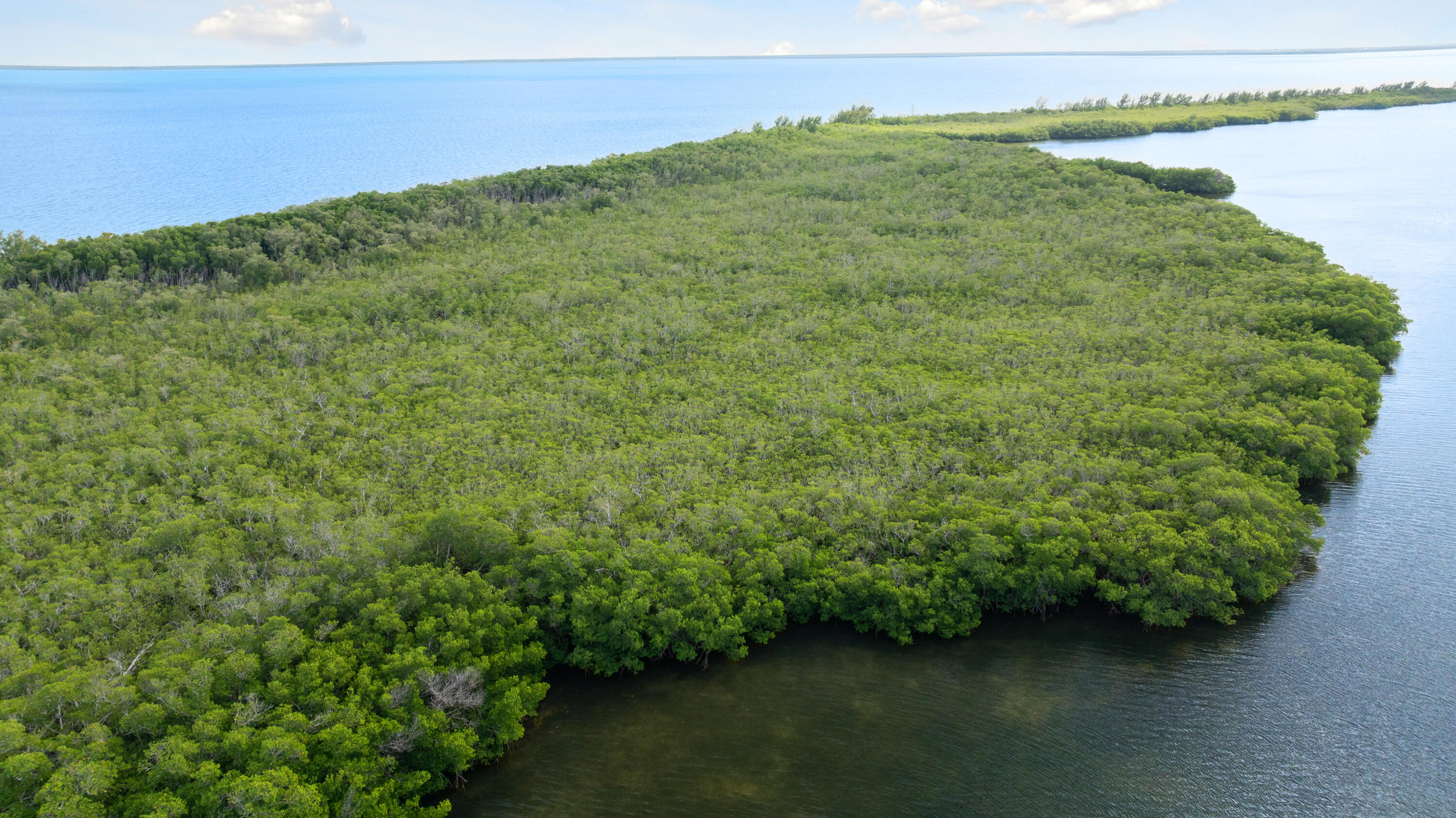 Main Key Key Largo, FL 33037 - Photo 25 of 64 Main Key 12-12-2025 (28)