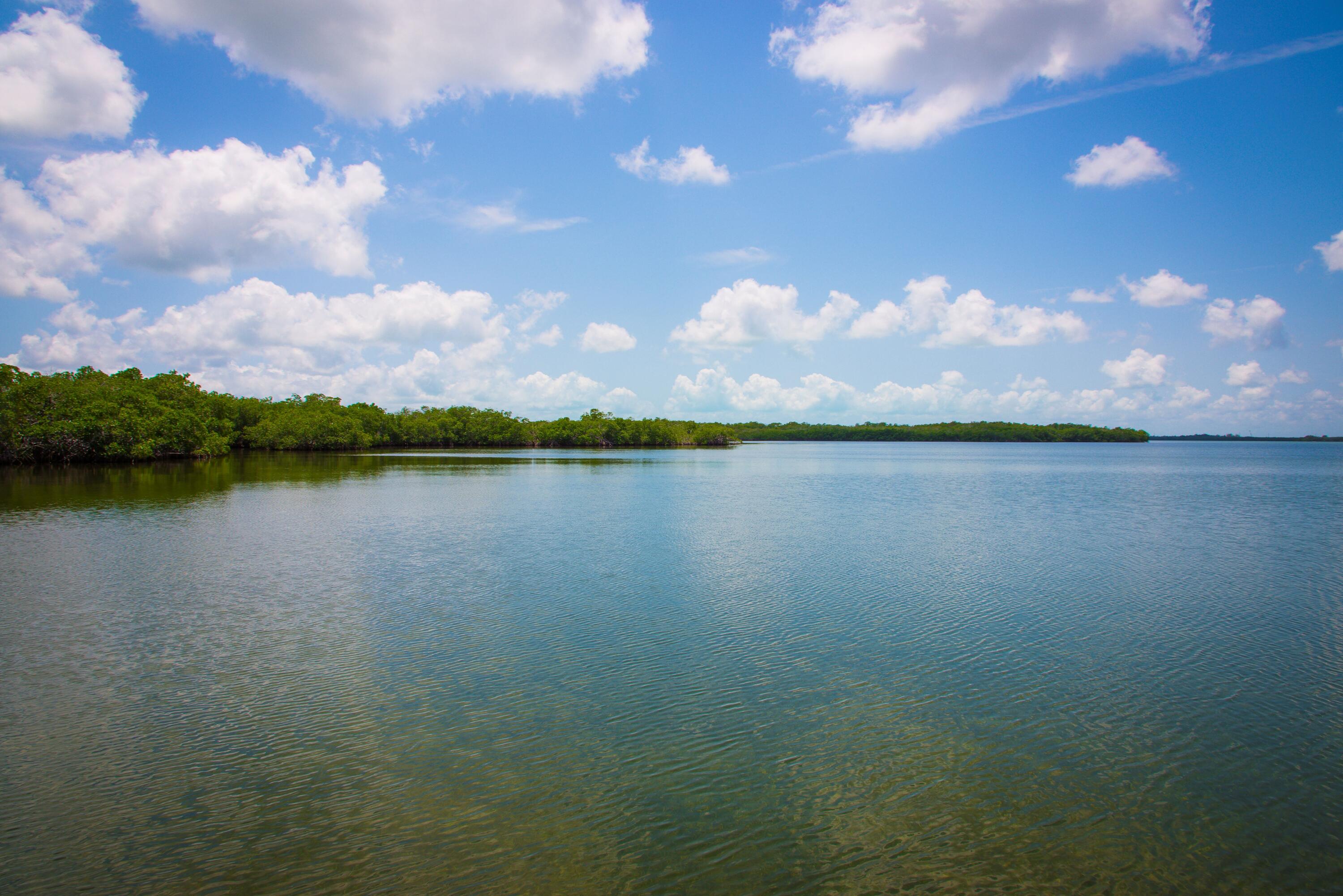 Main Key Key Largo, FL 33037 - Photo 29 of 64 Main Key