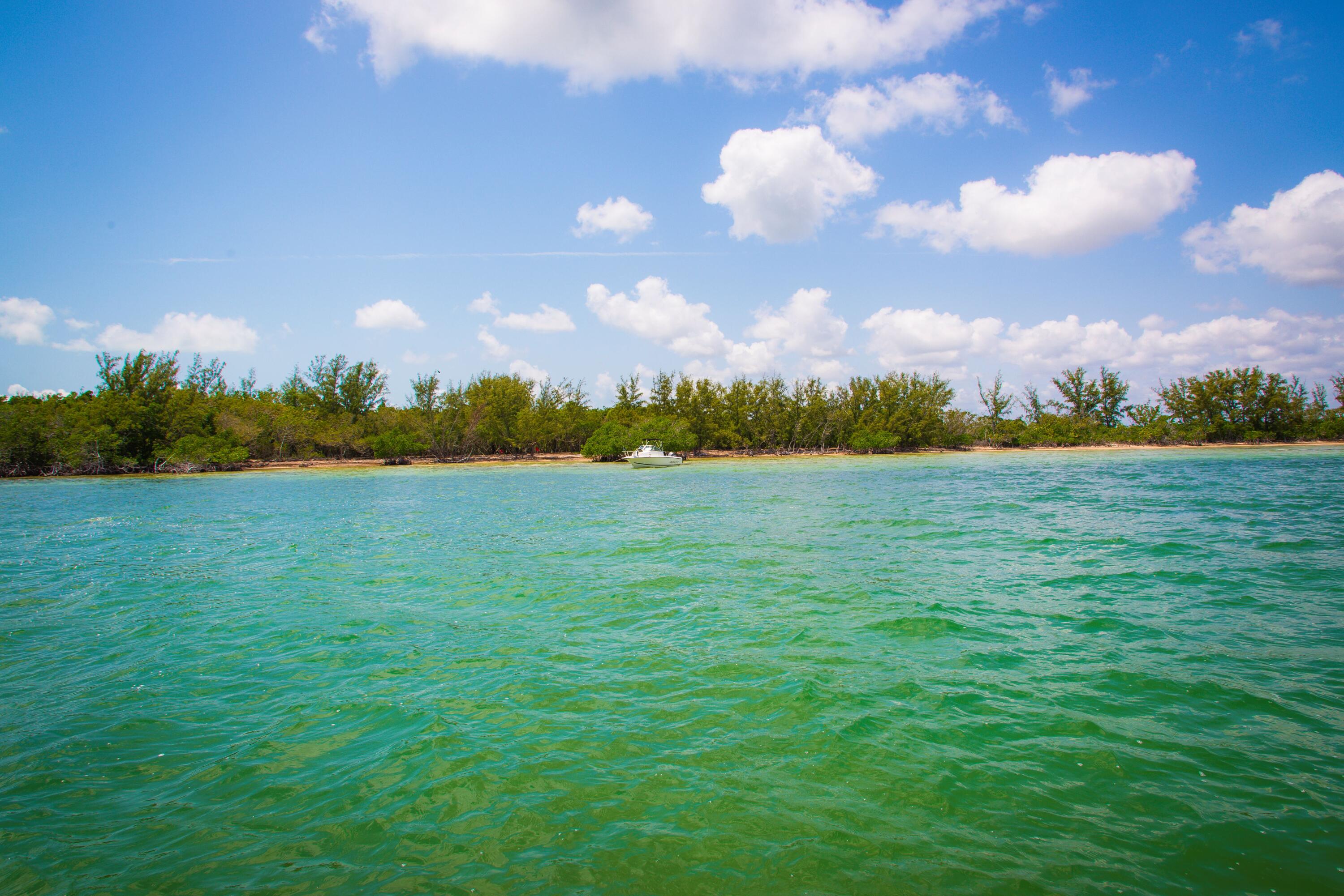 Main Key Key Largo, FL 33037 - Photo 30 of 64 Main Key