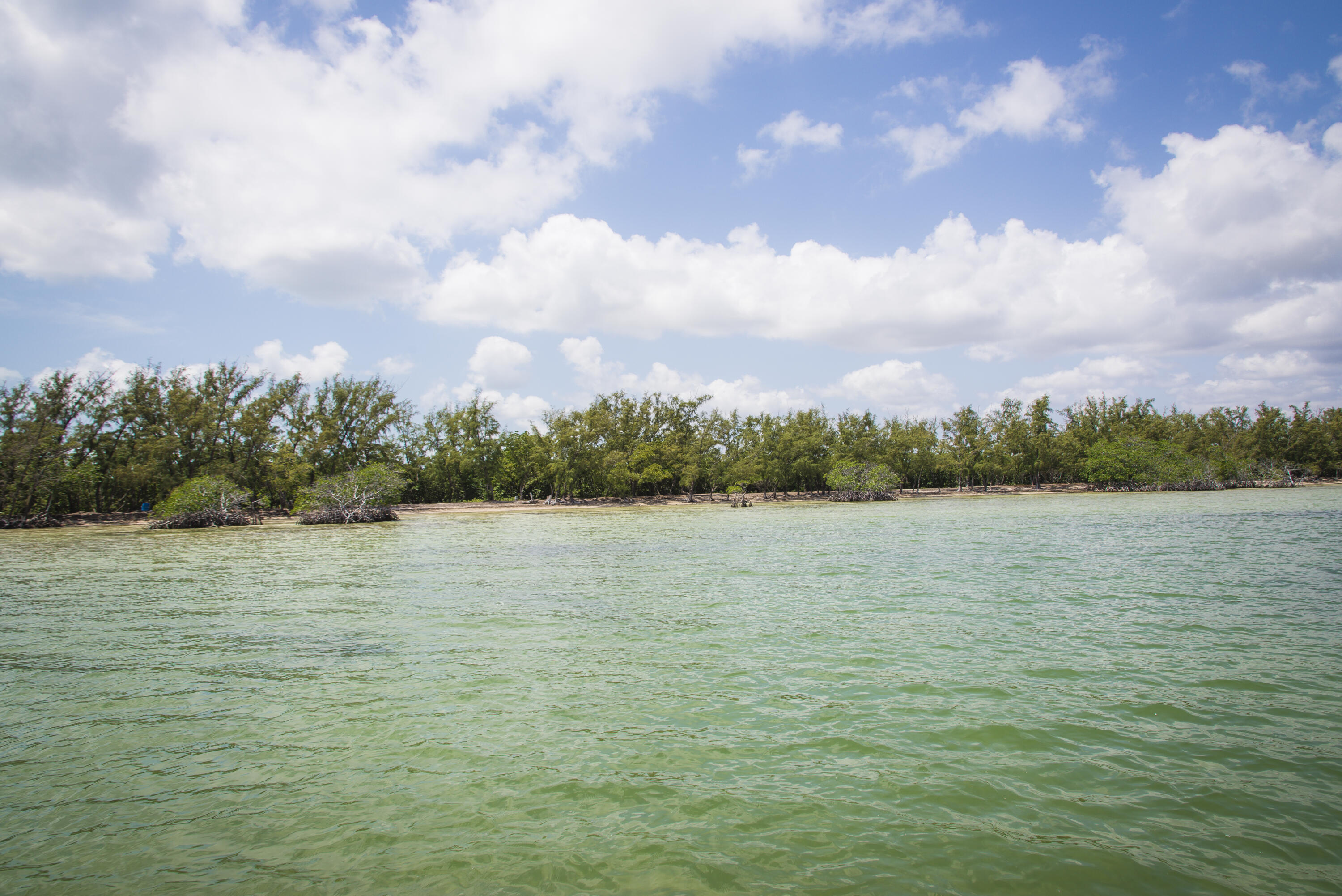 Main Key Key Largo, FL 33037 - Photo 32 of 64 Main Key