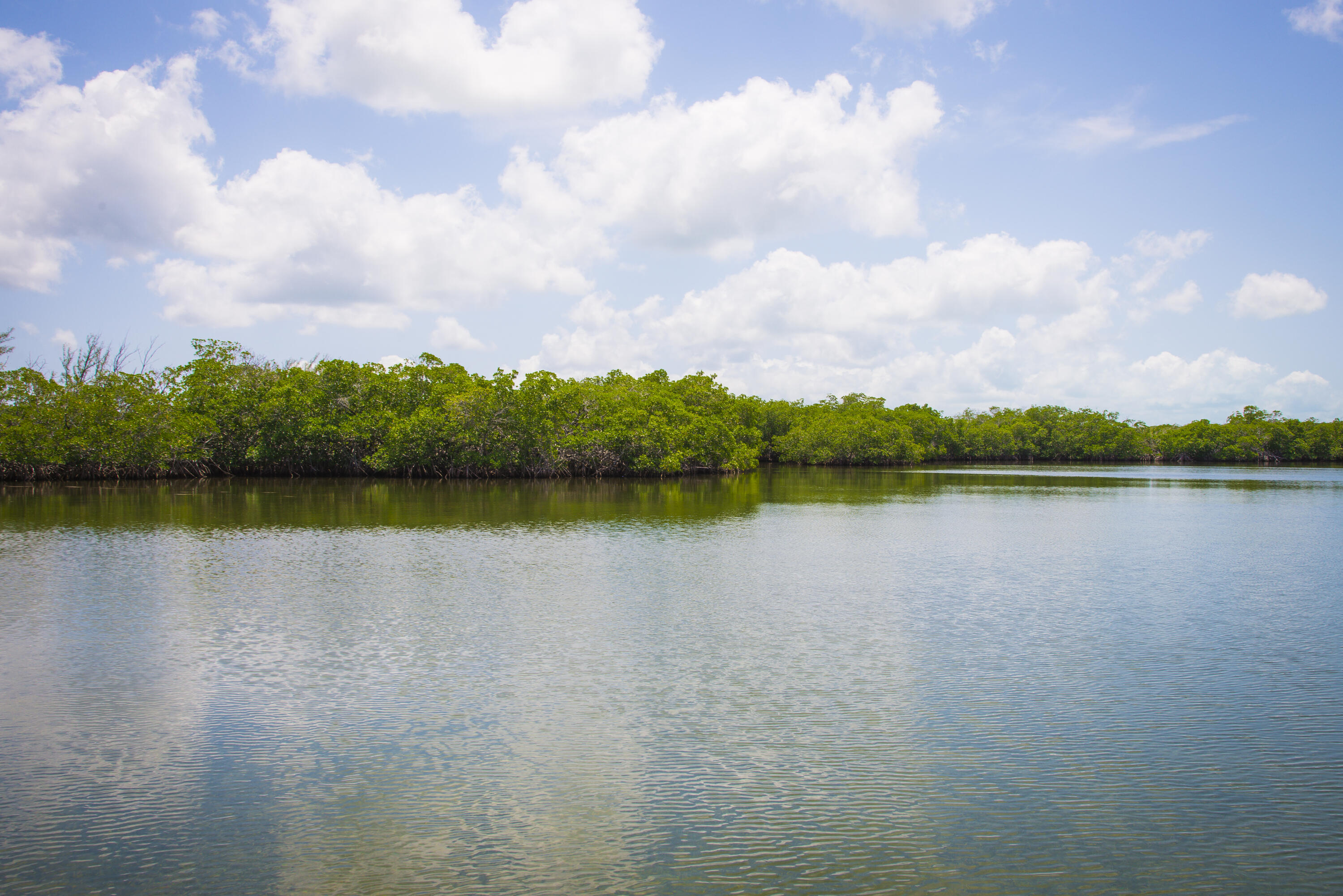 Main Key Key Largo, FL 33037 - Photo 33 of 64 Main Key