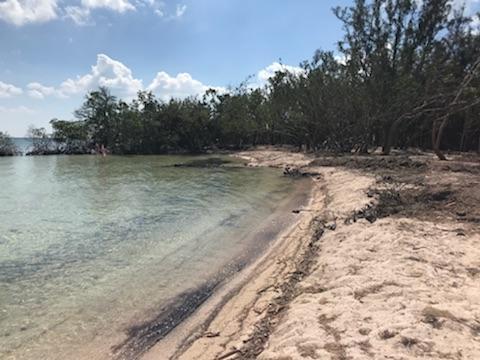 Main Key Key Largo, FL 33037 - Photo 34 of 64 Main Key