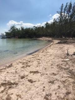 Main Key Key Largo, FL 33037 - Photo 35 of 64 Main Key