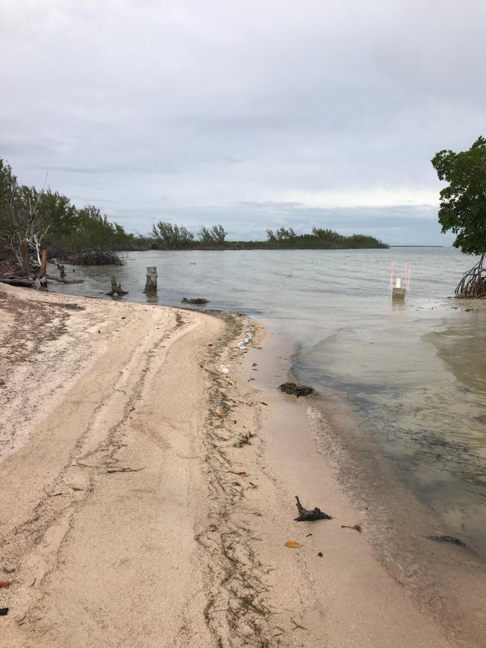 Main Key Key Largo, FL 33037 - Photo 36 of 64 Main Key