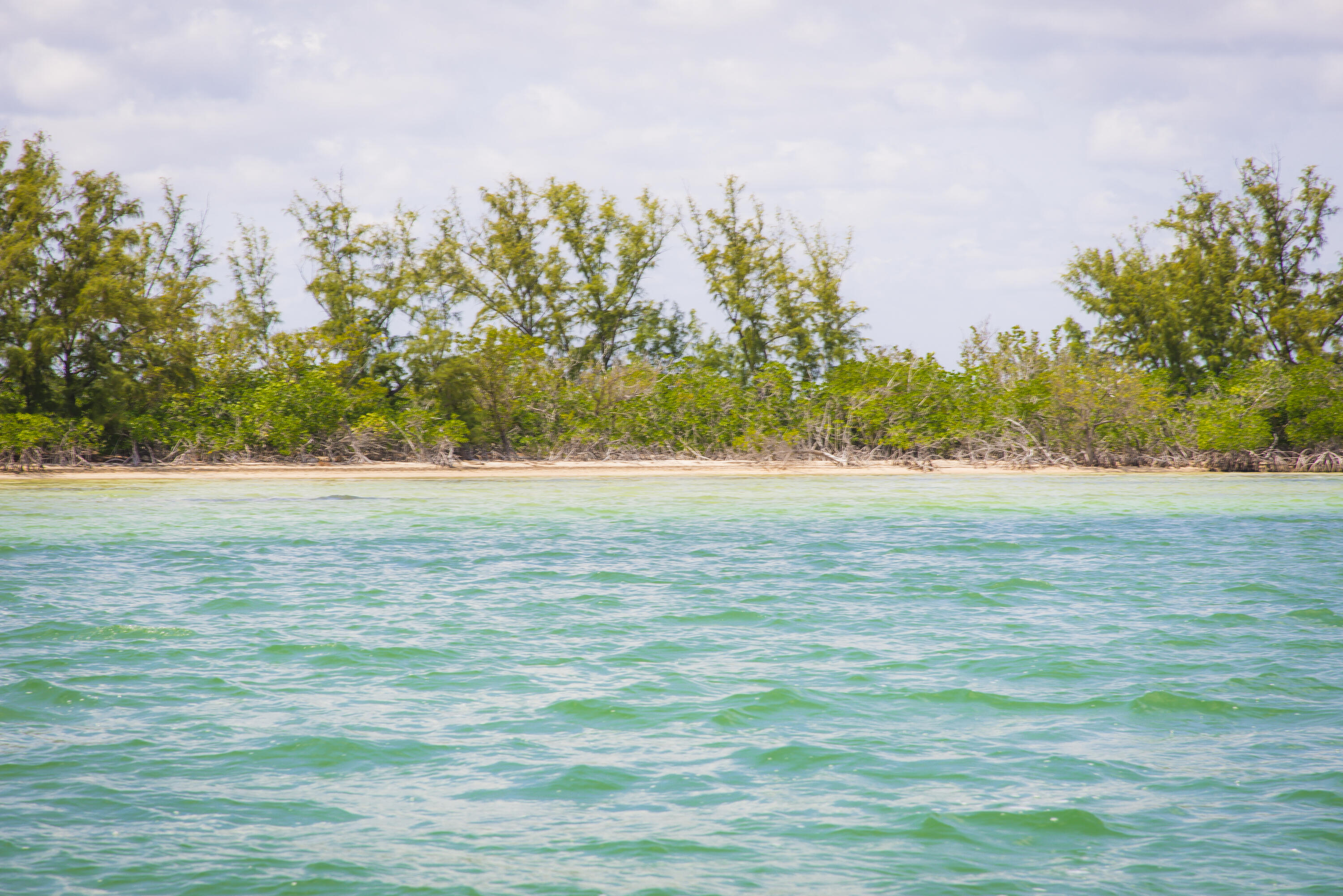 Main Key Key Largo, FL 33037 - Photo 37 of 64 Main Key