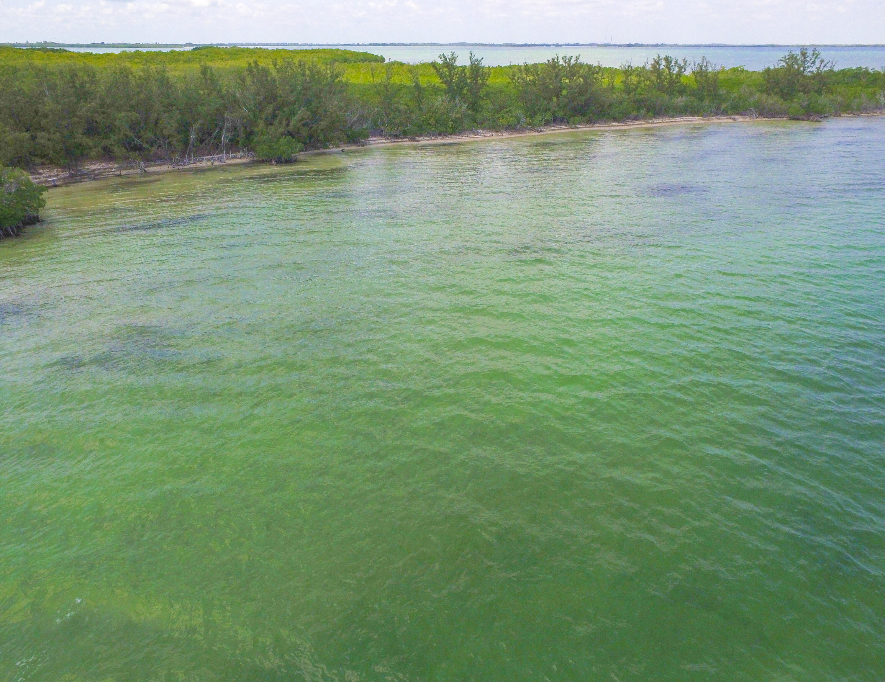 Main Key Key Largo, FL 33037 - Photo 39 of 64 Main Key