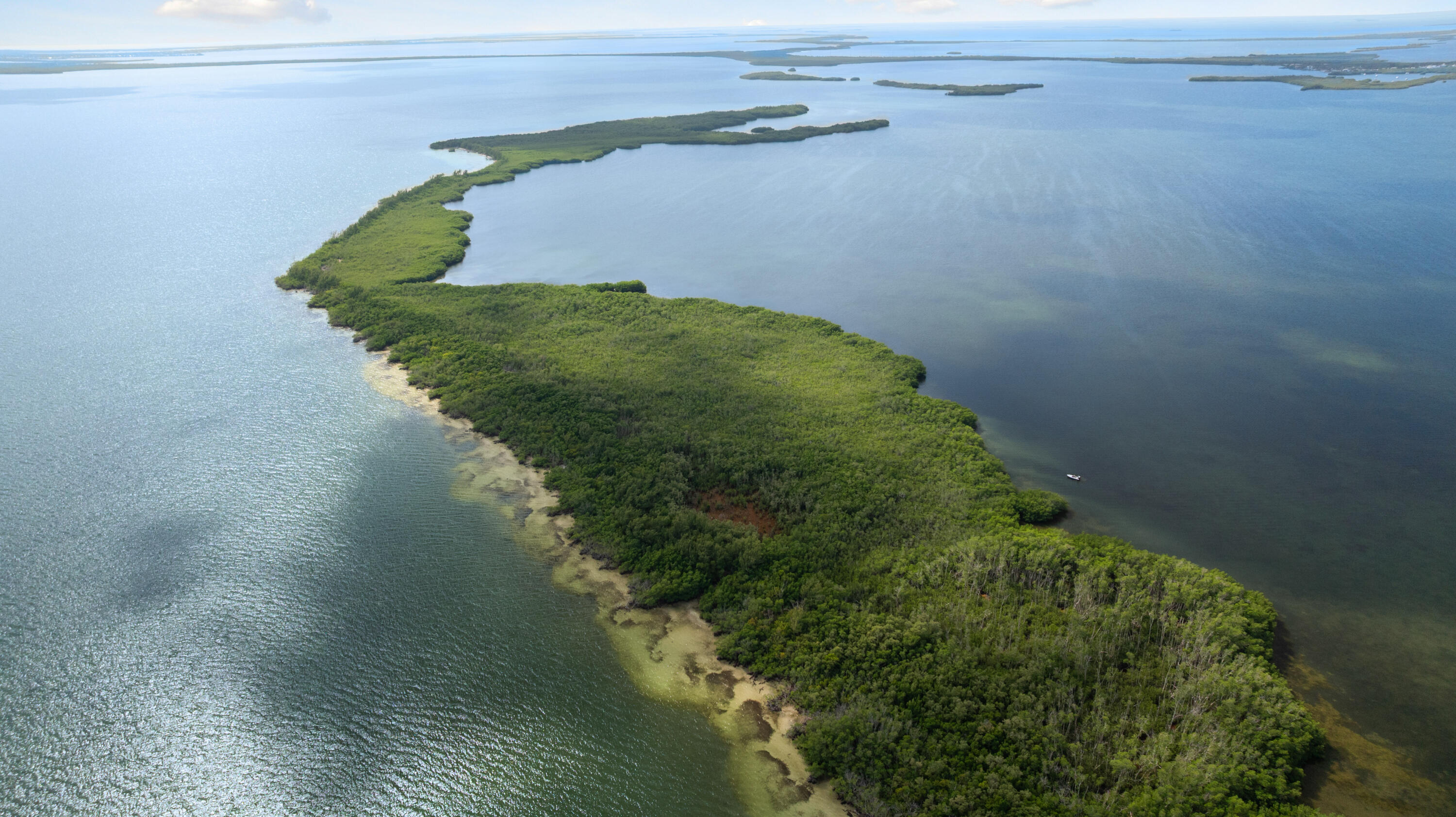 Main Key Key Largo, FL 33037 - Photo 4 of 64 Main Key 12-12-2025 (26)