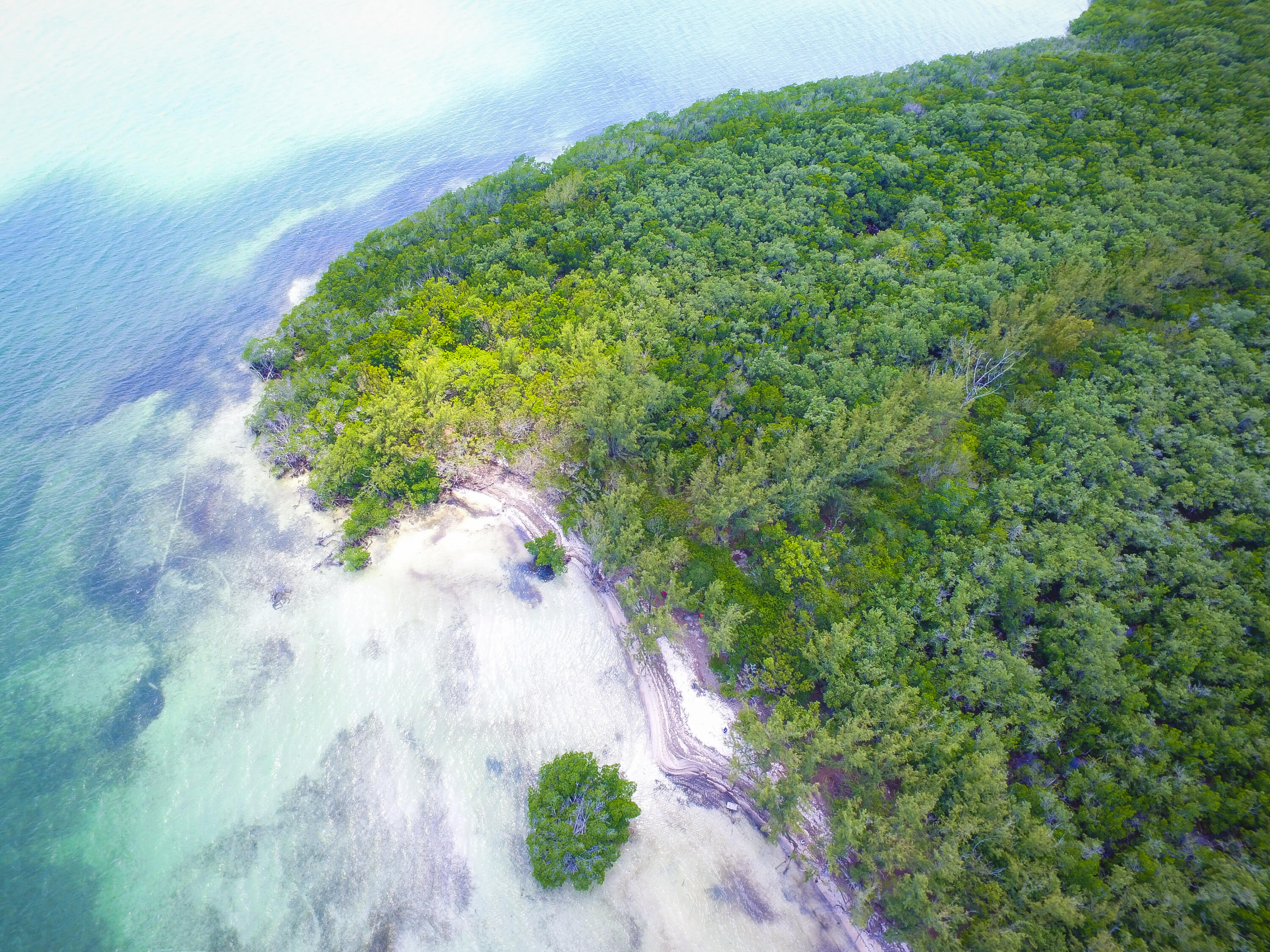 Main Key Key Largo, FL 33037 - Photo 41 of 64 Main Key