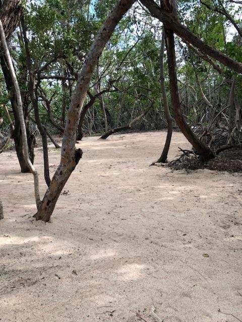 Main Key Key Largo, FL 33037 - Photo 42 of 64 Main Key