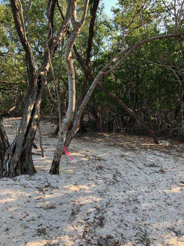 Main Key Key Largo, FL 33037 - Photo 45 of 64 Main Key