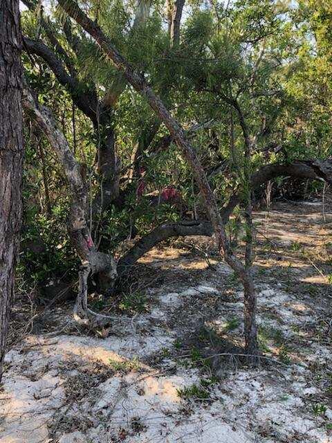 Main Key Key Largo, FL 33037 - Photo 46 of 64 Main Key