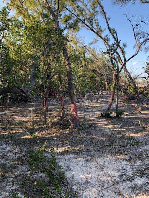 Main Key Key Largo, FL 33037 - Photo 47 of 64 Main Key