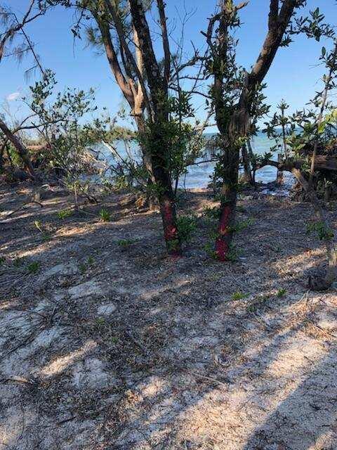 Main Key Key Largo, FL 33037 - Photo 48 of 64 Main Key