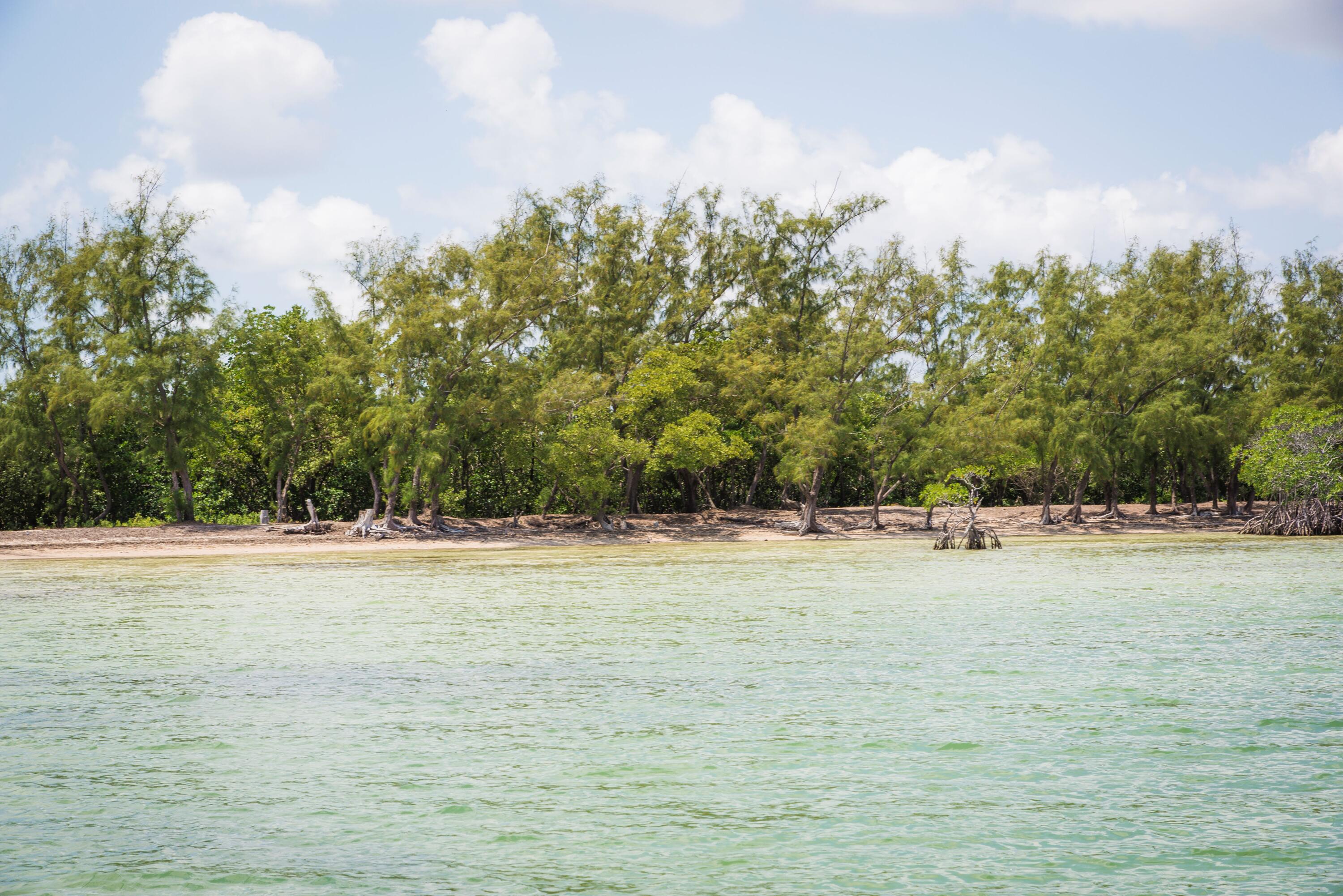 Main Key Key Largo, FL 33037 - Photo 50 of 64 Main Key