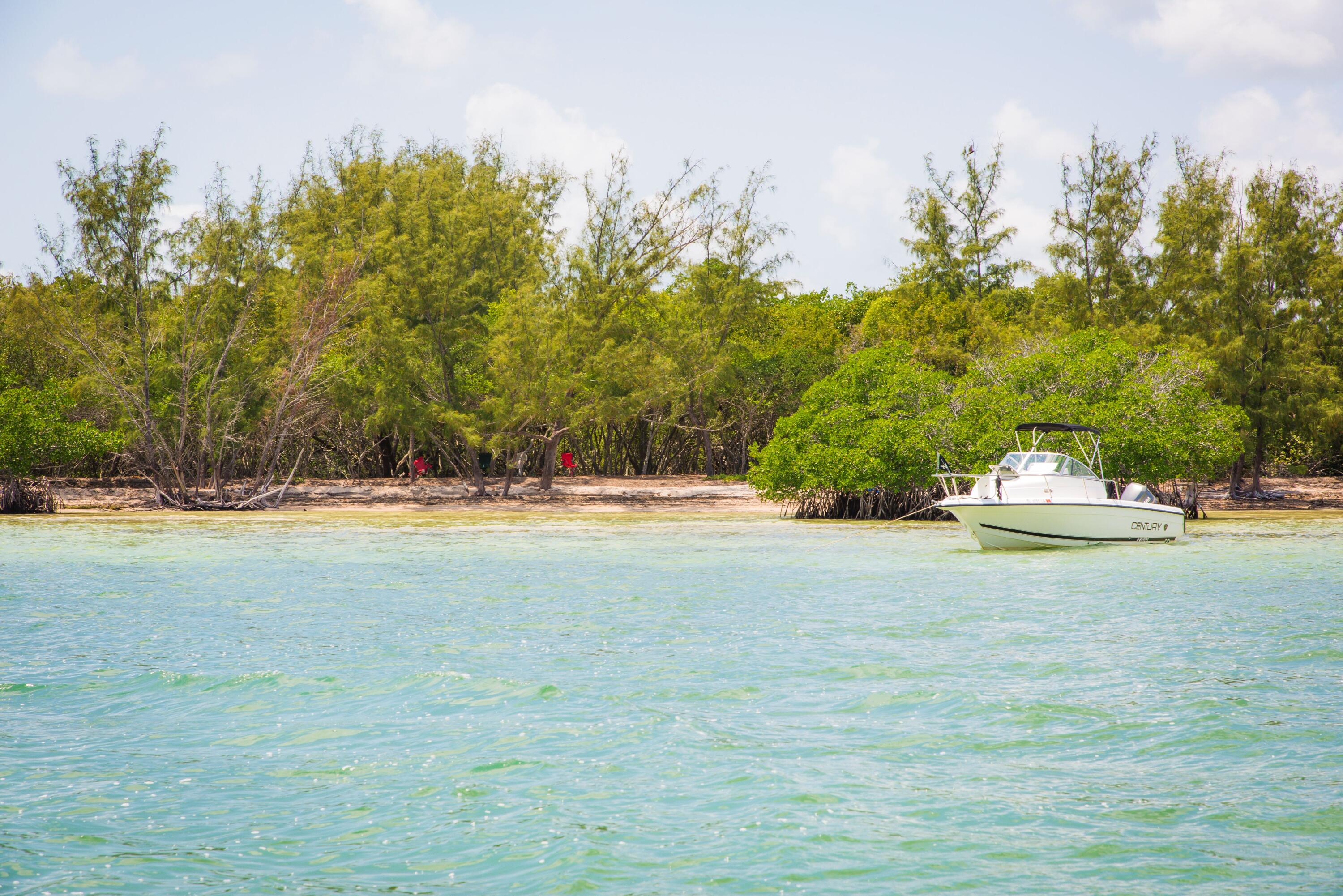 Main Key Key Largo, FL 33037 - Photo 51 of 64 Main Key