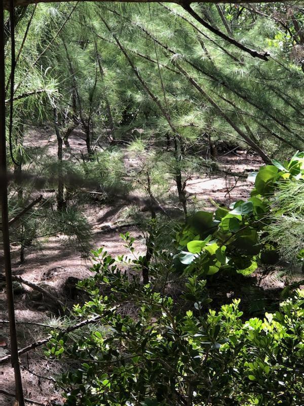 Main Key Key Largo, FL 33037 - Photo 57 of 64 Main Key