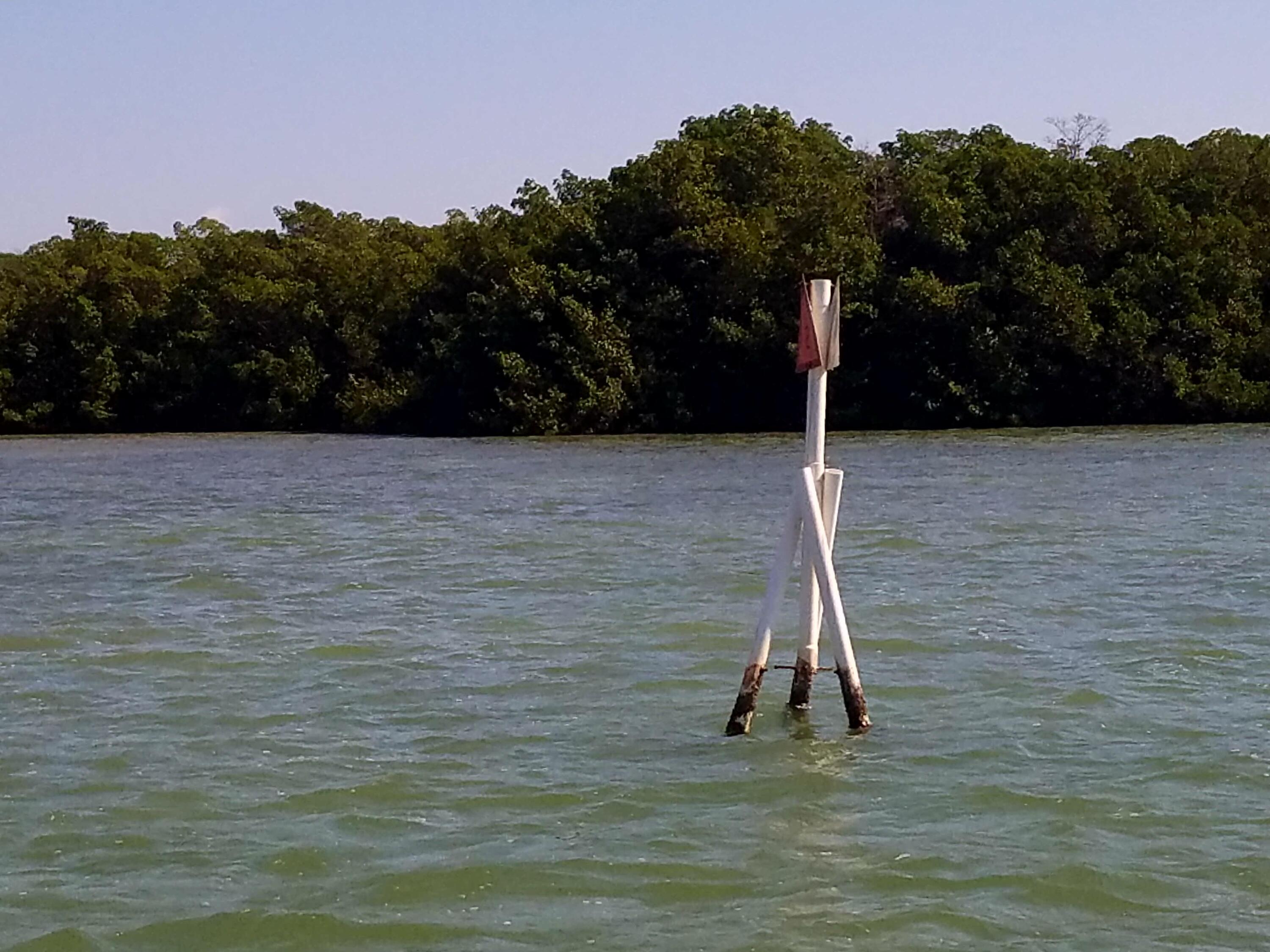 Main Key Key Largo, FL 33037 - Photo 59 of 64 Main Key