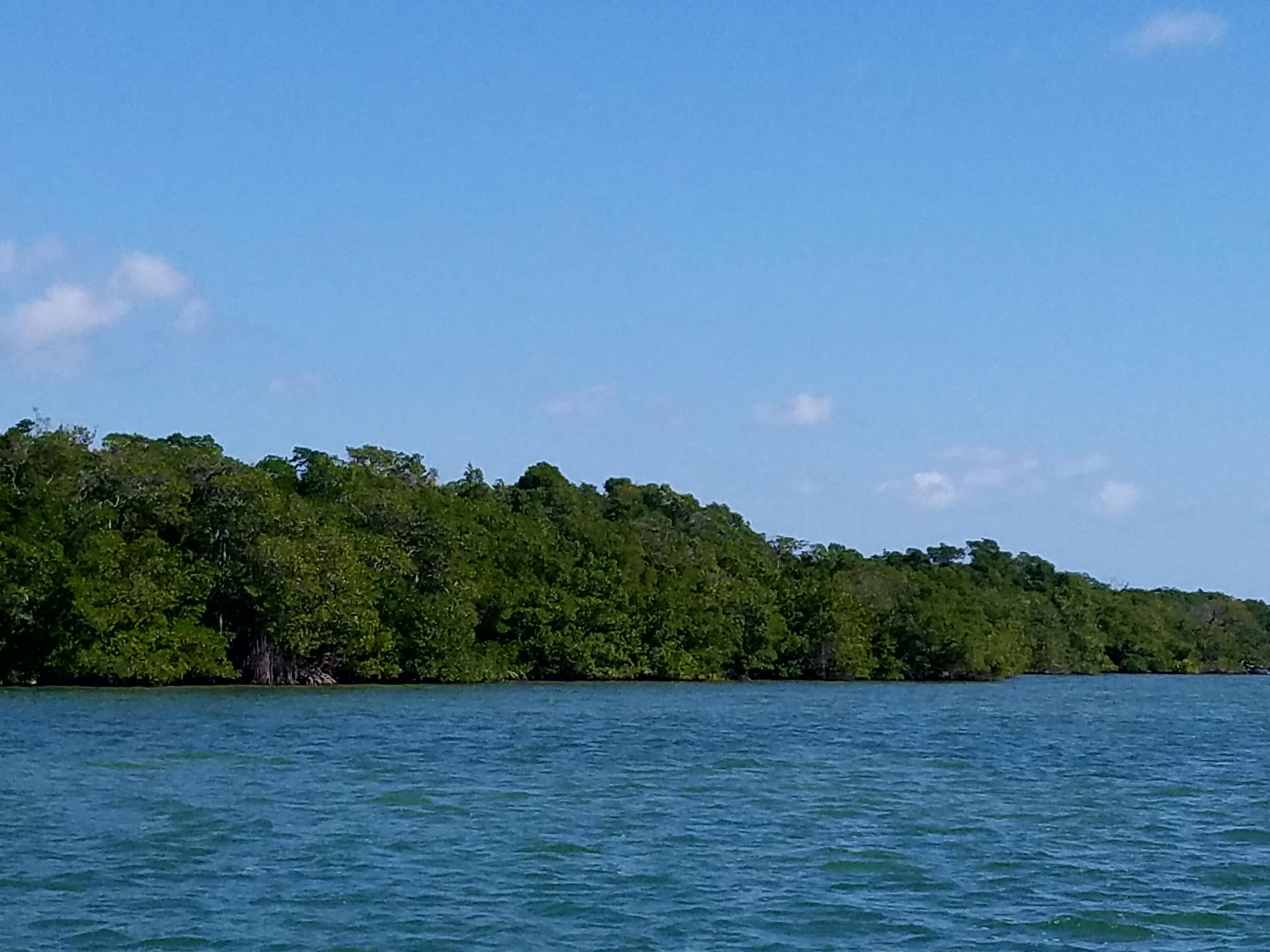 Main Key Key Largo, FL 33037 - Photo 60 of 64 Main Key