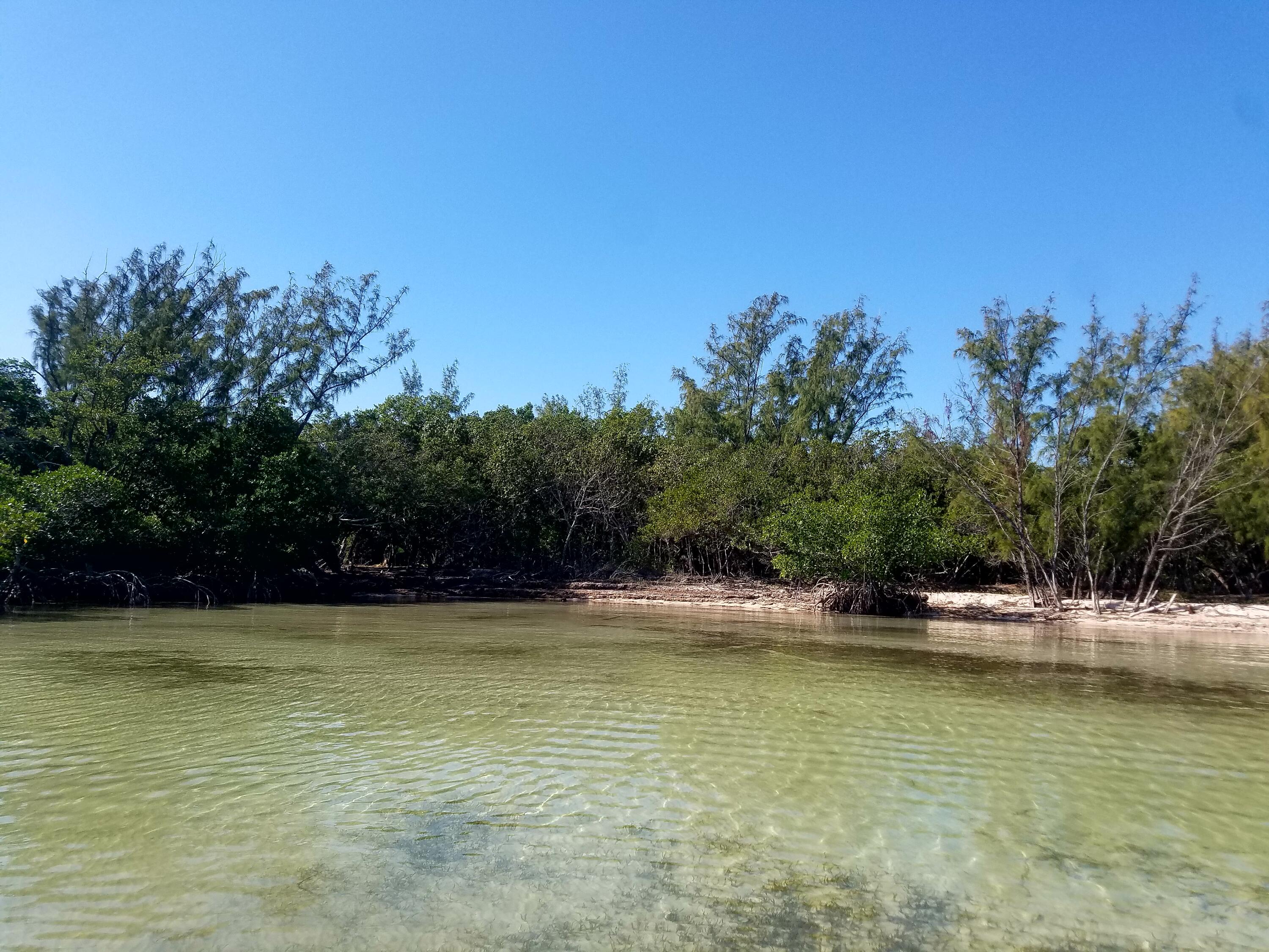 Main Key Key Largo, FL 33037 - Photo 8 of 64 Main Key