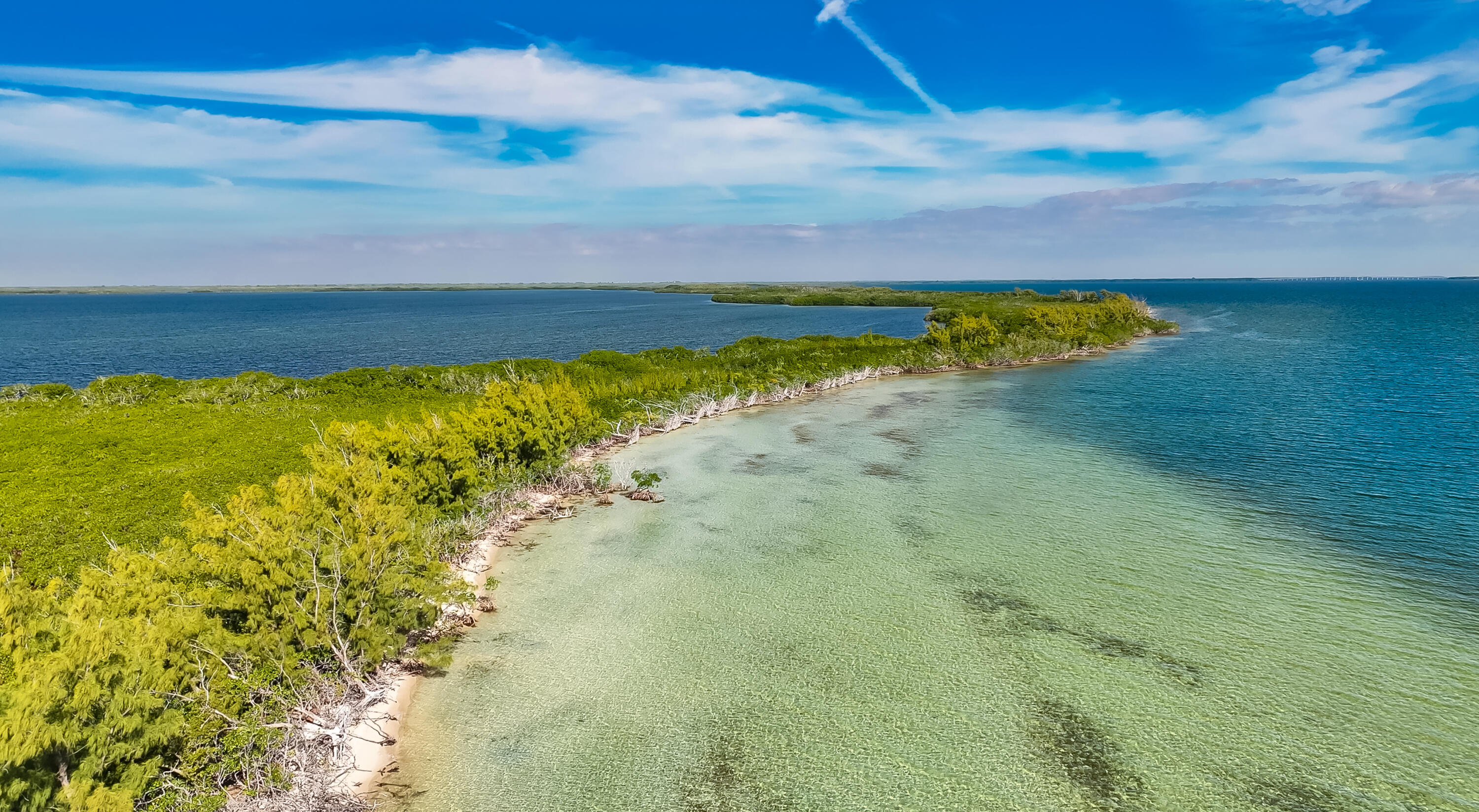 Main Key Key Largo, FL 33037 - Photo 10 of 64 Main Key 12-12-2025 (9)