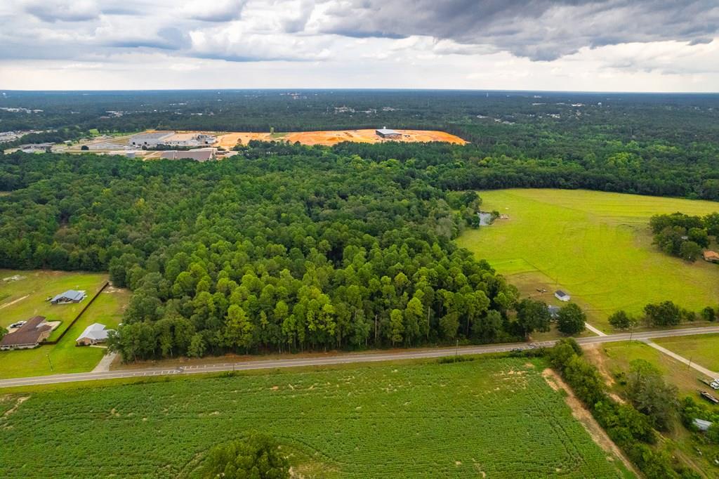 0 East Wayne Road Dothan, AL 36301 - Photo 1 of 18