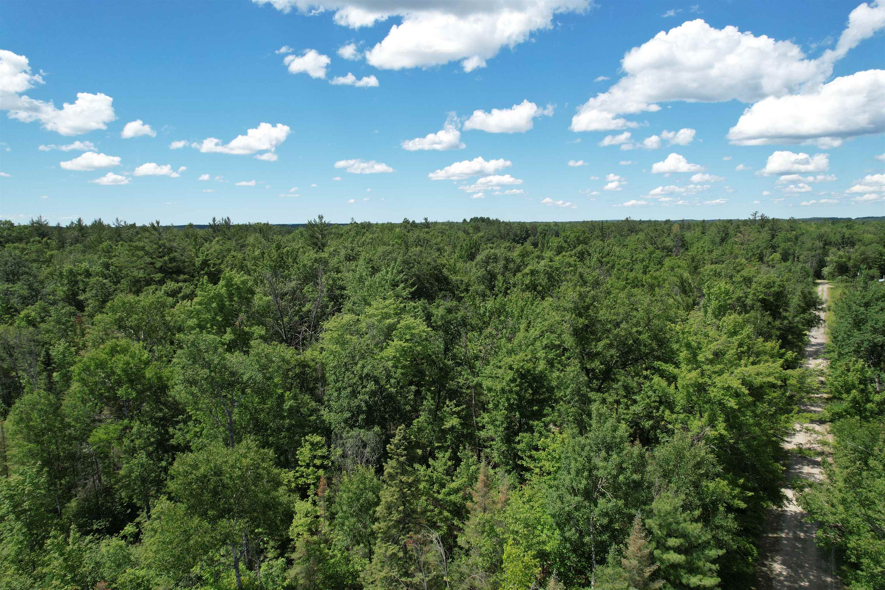3936 South Deadstream Road Houghton Lake, MI 48629 - Photo 4 of 15