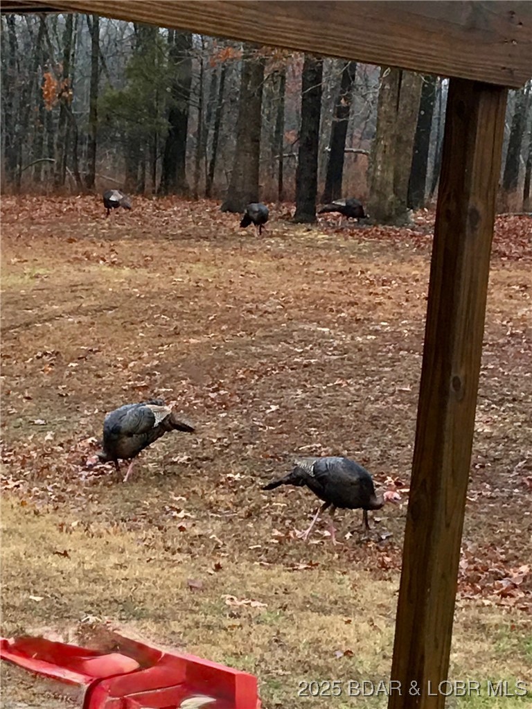 1-432 Pardon Road Marionville, MO 65705 - Photo 43 of 47