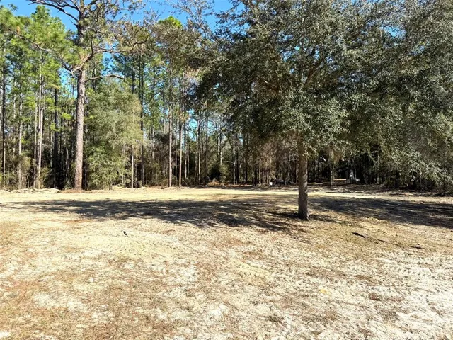 a view of empty space with trees