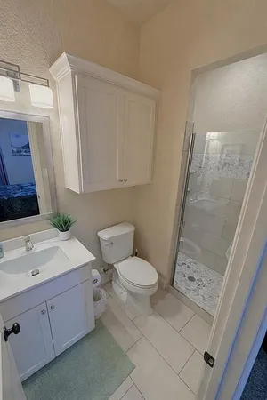 a bathroom with a sink a toilet and a mirror