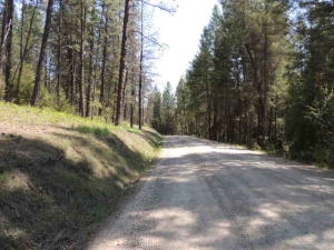 Xxxx Rail Canyon Road Springdale, WA 99173 - Photo 12 of 12