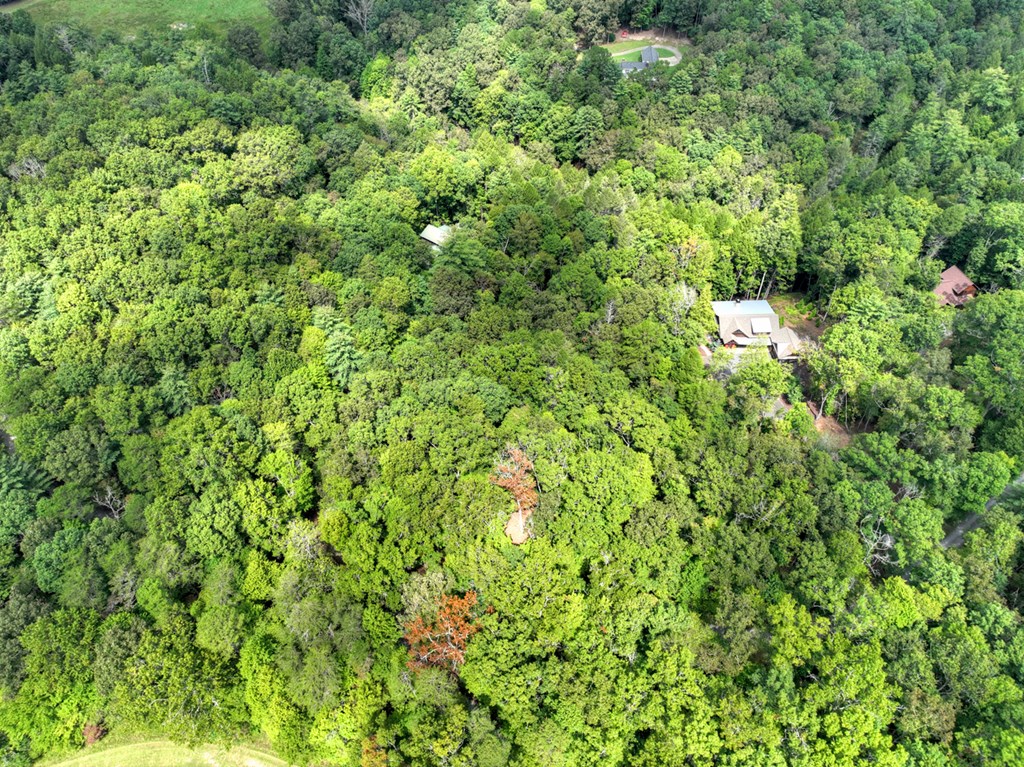 Lot 5 Chief Ron Green Trail Blue Ridge, GA 30513 - Photo 16 of 18 Gallery Image 16