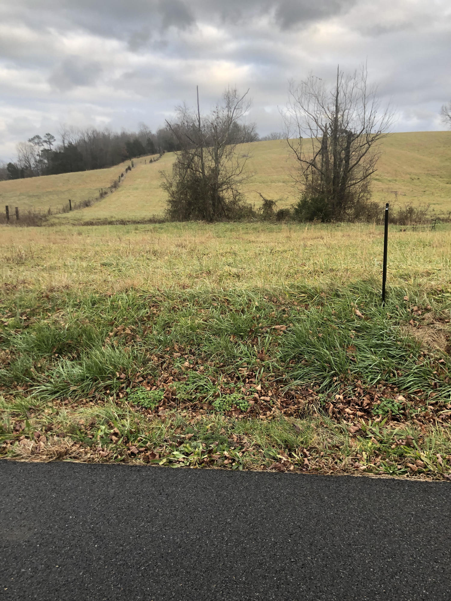 Tbd Bill Gourley Road, Unit 4 Chuckey, TN 37641 - Photo 1 of 3 Bill Gourley 1