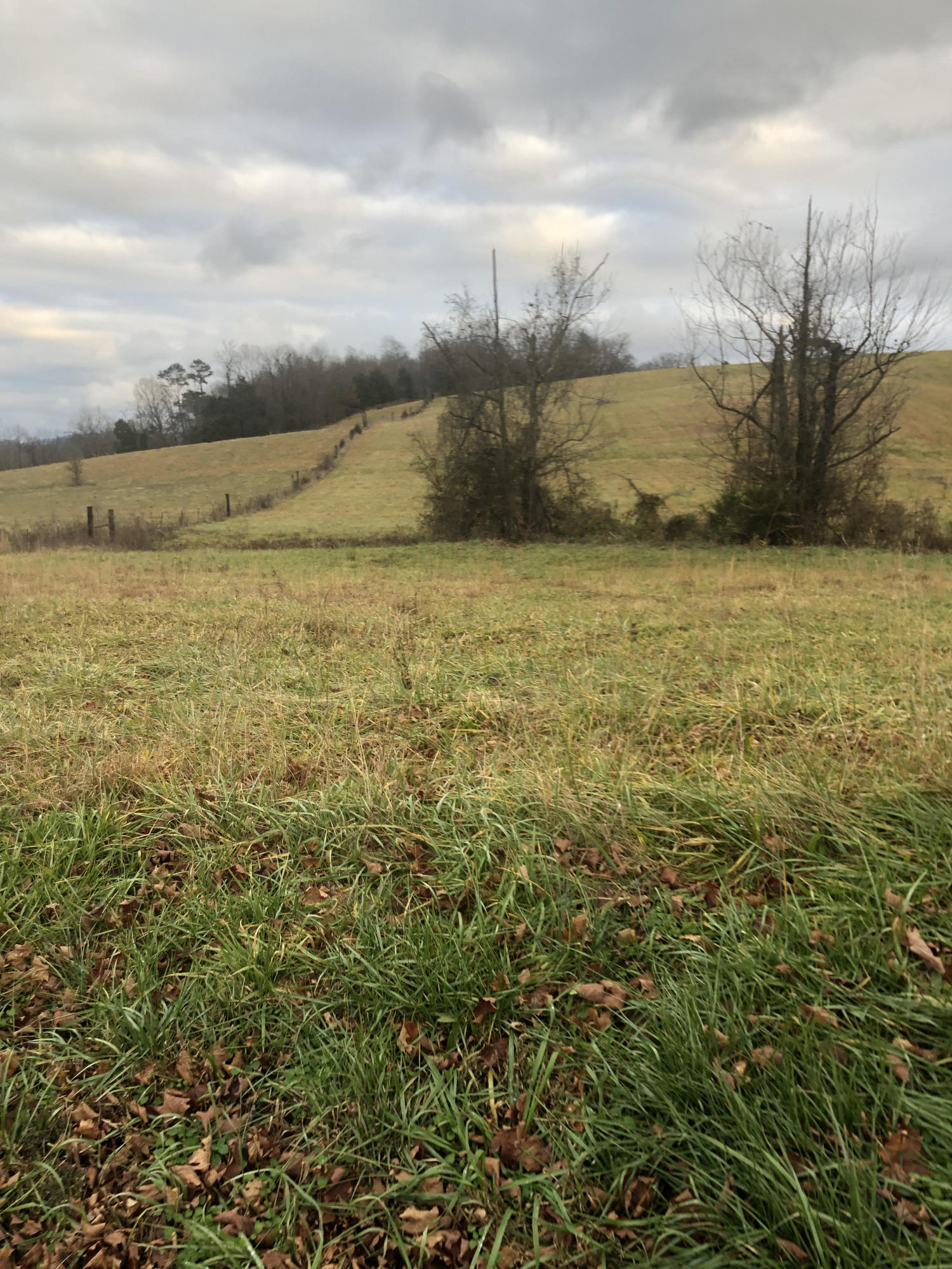 Tbd Bill Gourley Road, Unit 4 Chuckey, TN 37641 - Photo 2 of 3 Bill Gourley 2