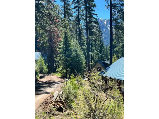 $198,500 | Forest Dell Avenue, Joseph, OR 97846