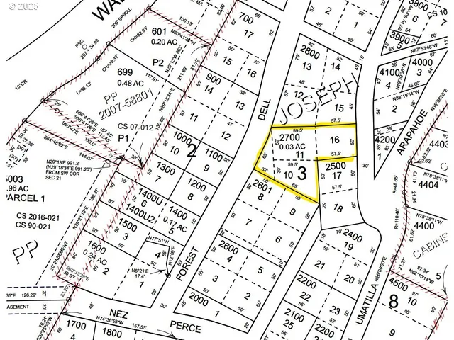 a view of the backyard of the house