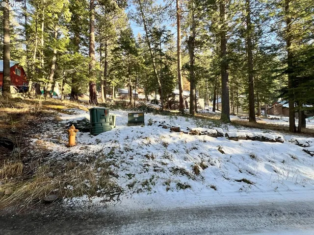 a view of a backyard with trees