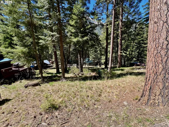 a view of a small yard