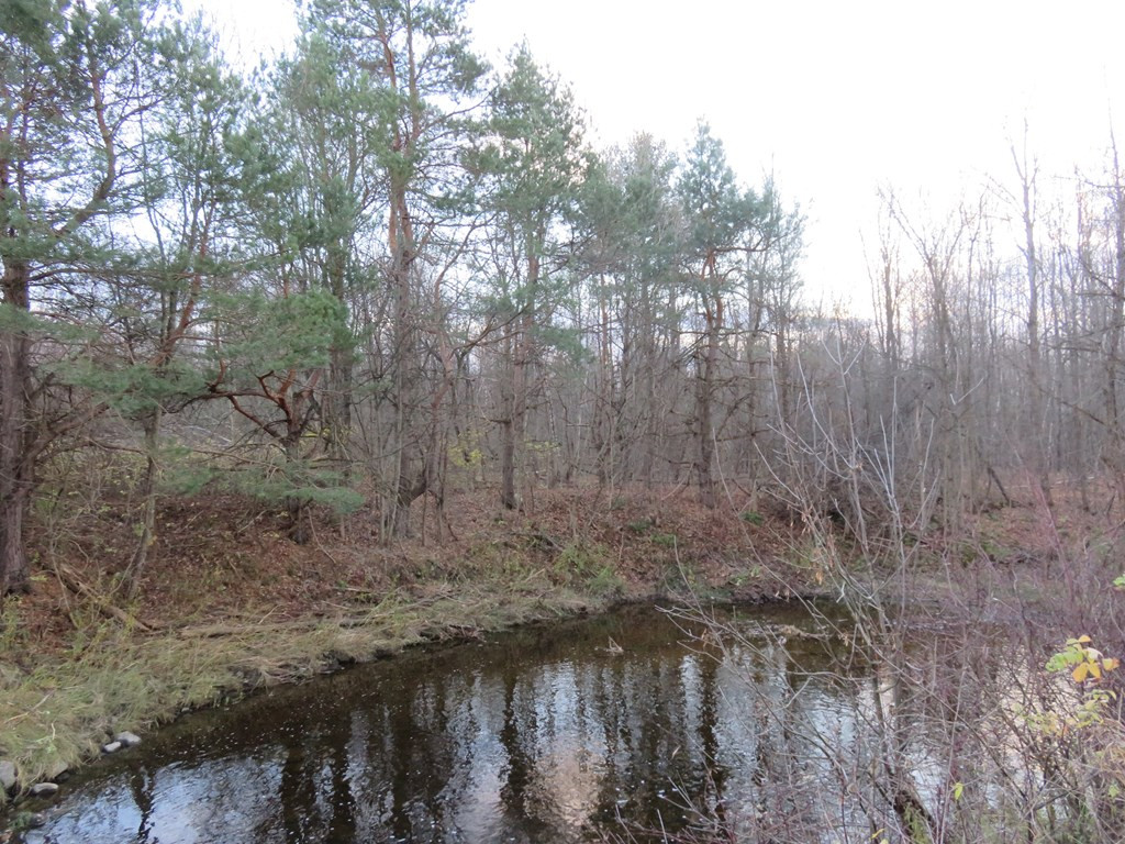 154 Buell Road Fort Covington, NY 12937 - Photo 6 of 13