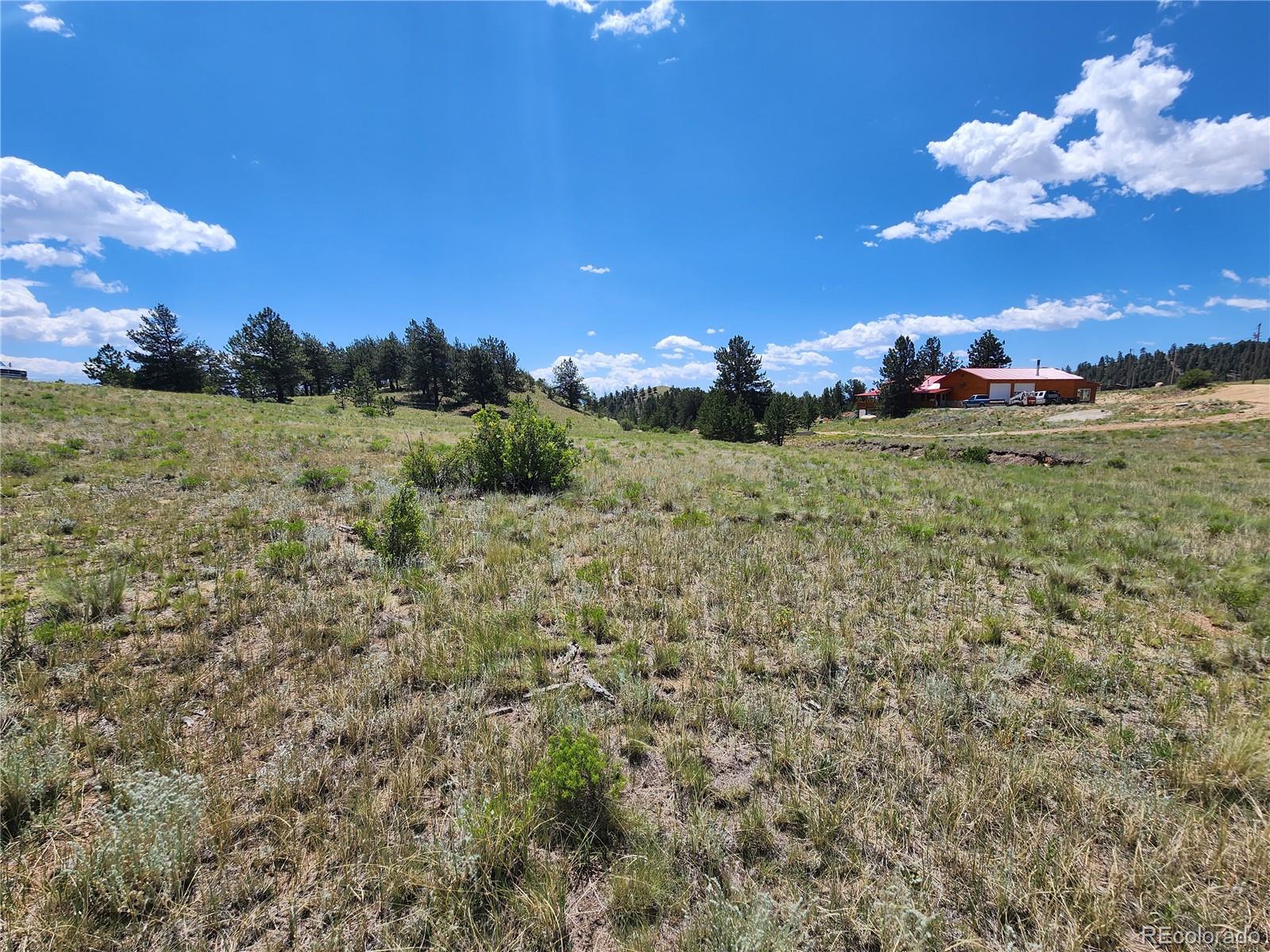 Oak Street Hartsel, CO 80449 - Photo 1 of 7