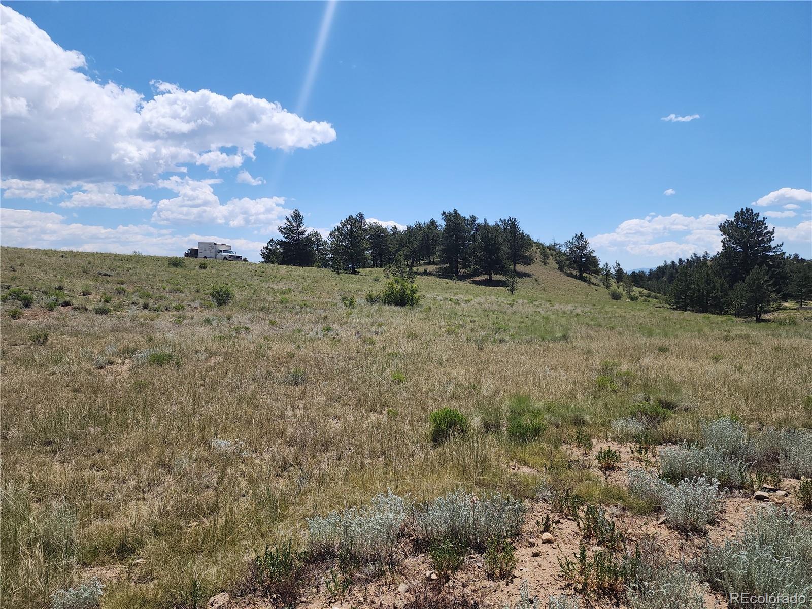 Oak Street Hartsel, CO 80449 - Photo 2 of 7 a view of a dry yard