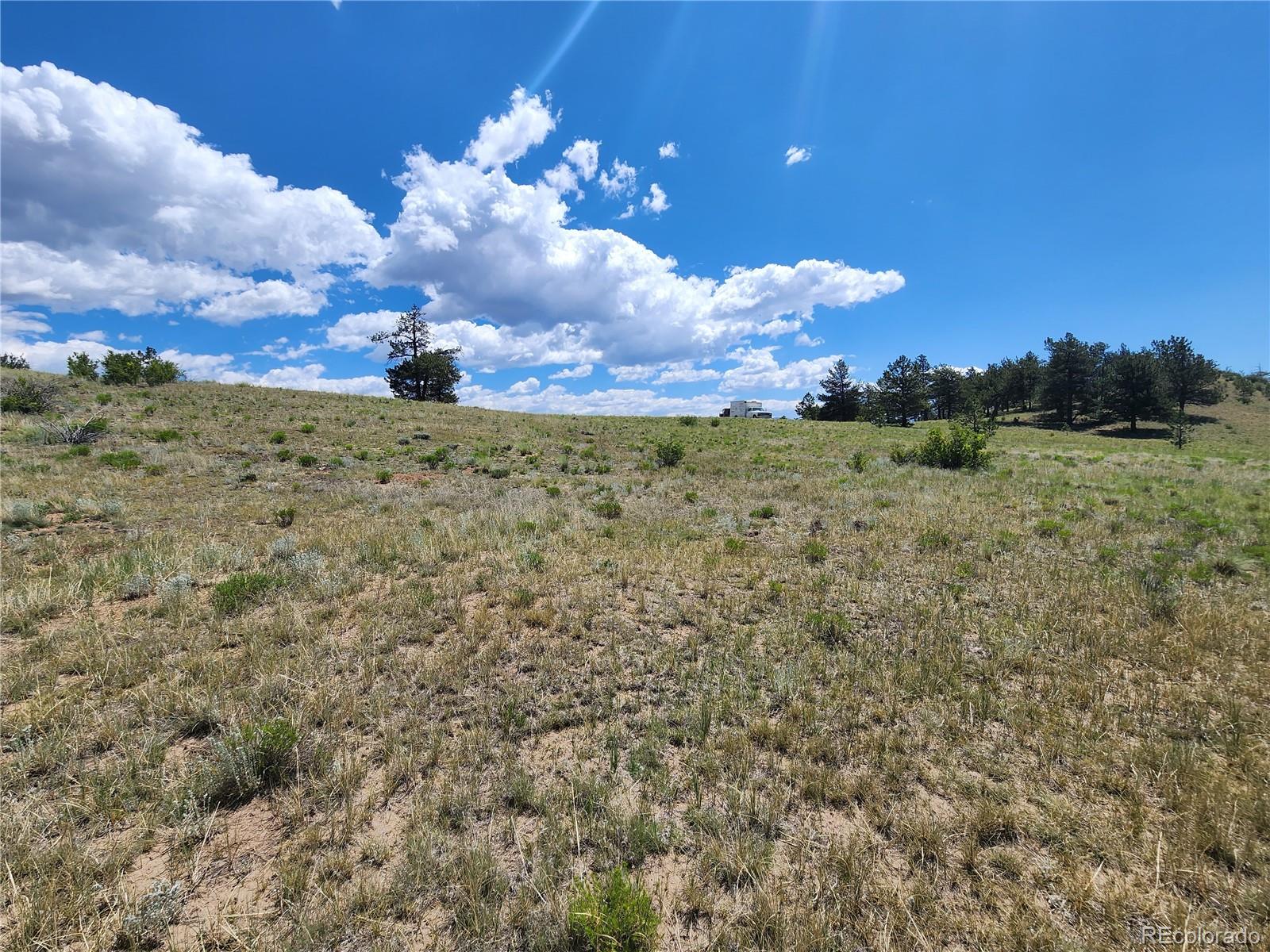 Oak Street Hartsel, CO 80449 - Photo 3 of 7 a view of a yard