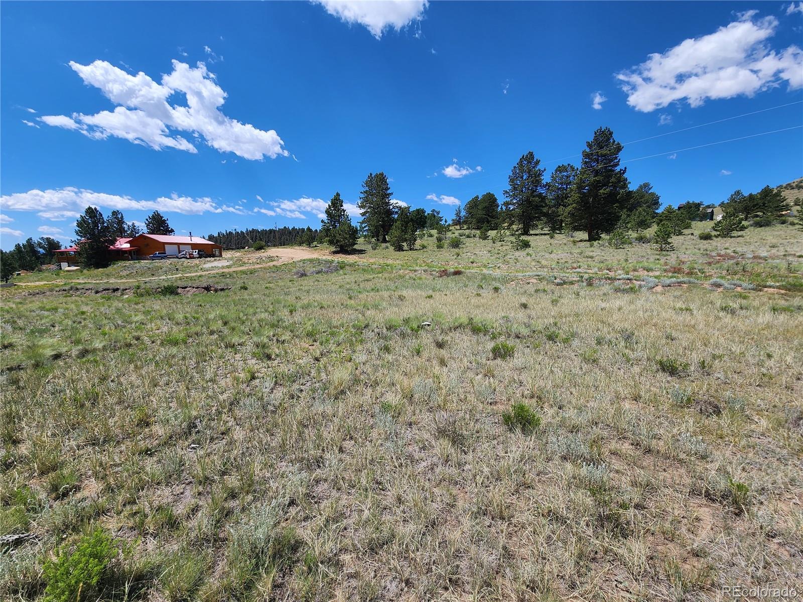 Oak Street Hartsel, CO 80449 - Photo 4 of 7 a view of a yard with a house