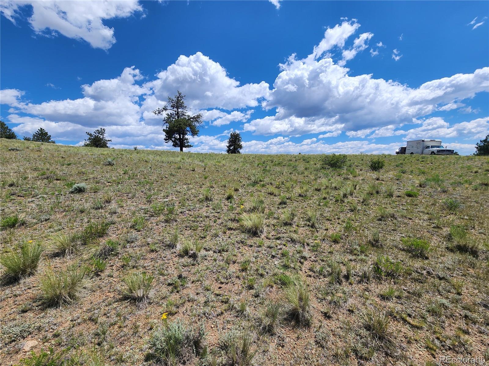 Oak Street Hartsel, CO 80449 - Photo 5 of 7